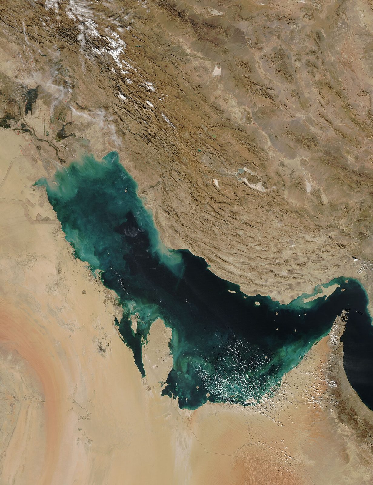 Satellite view of the Persian Gulf coastline and surrounding waters, Persian Gulf