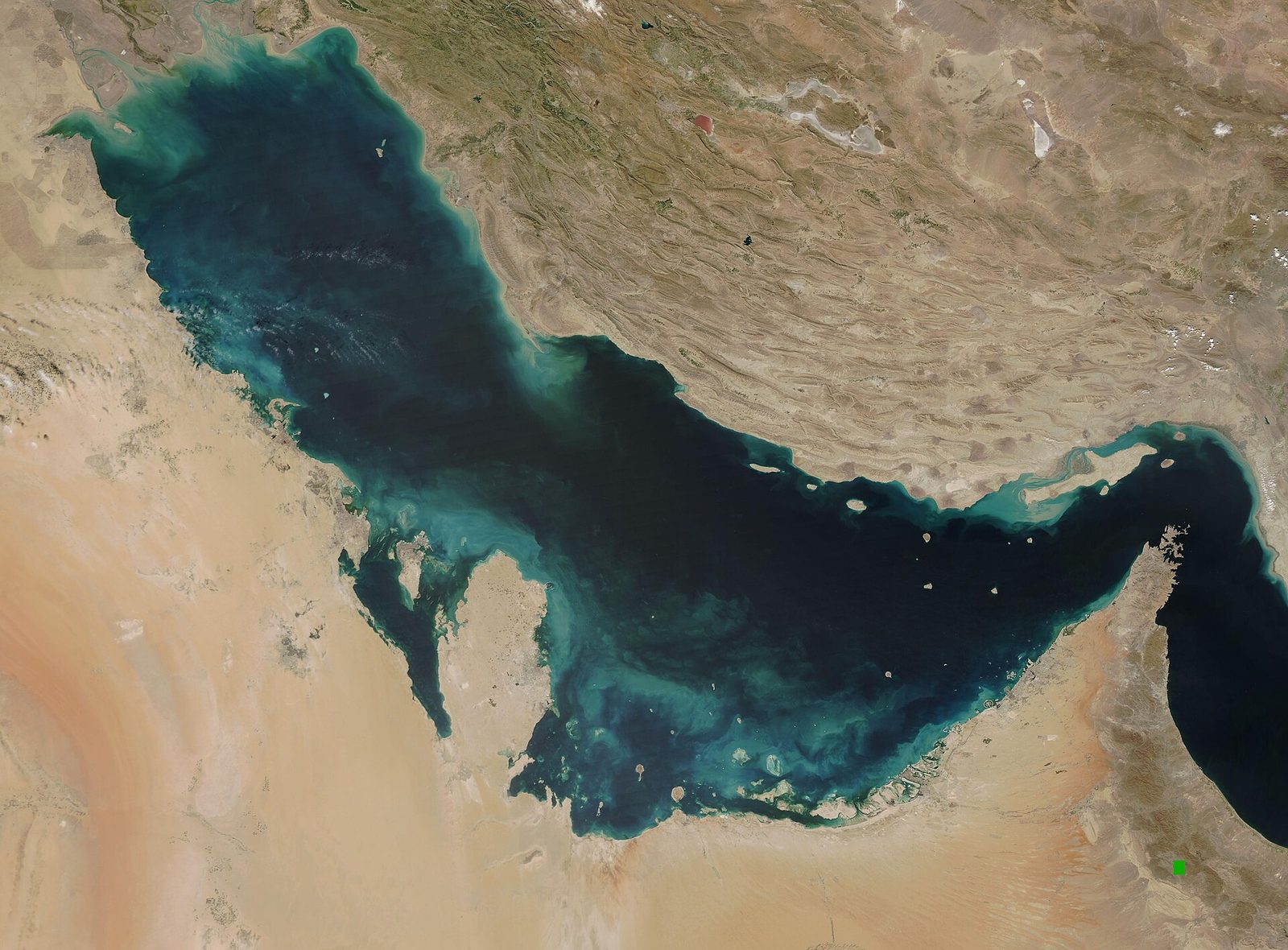 satellite image of the Persian Gulf with green and teal swirls, Strait of Hormuz