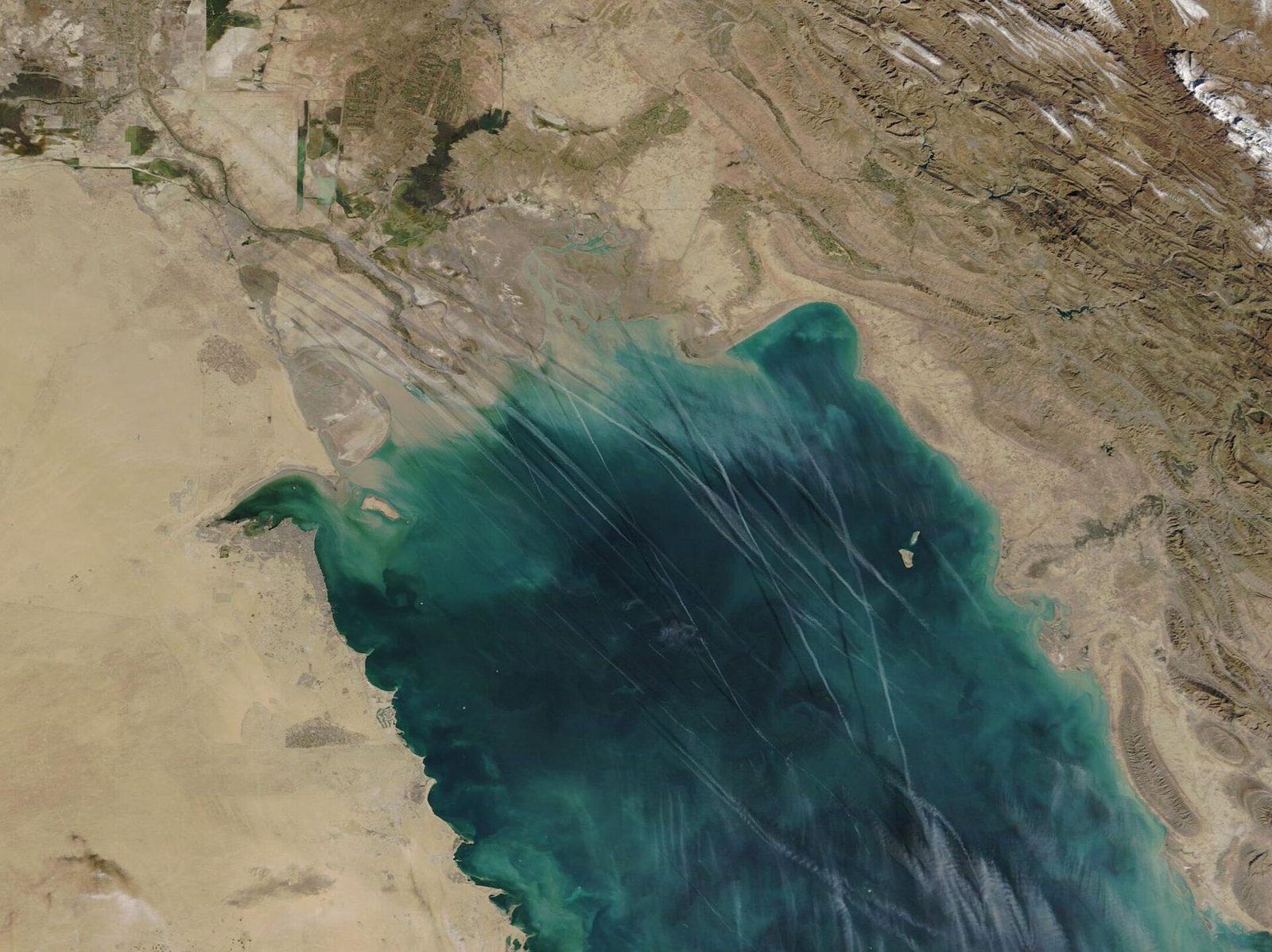 satellite view of the Persian Gulf marked by long aircraft contrails