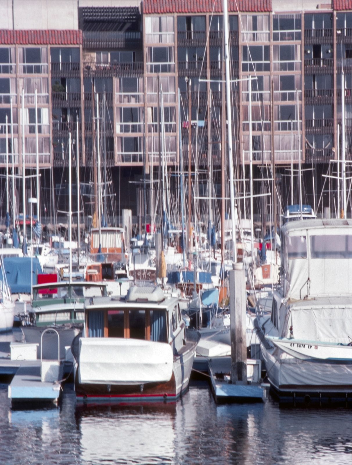 Dense mooring of boats, marina buildings with balconies behind, King Harbor