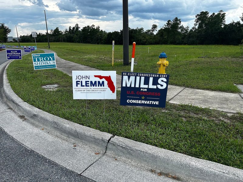 Row of roadside campaign signs along a curb and grassy verge