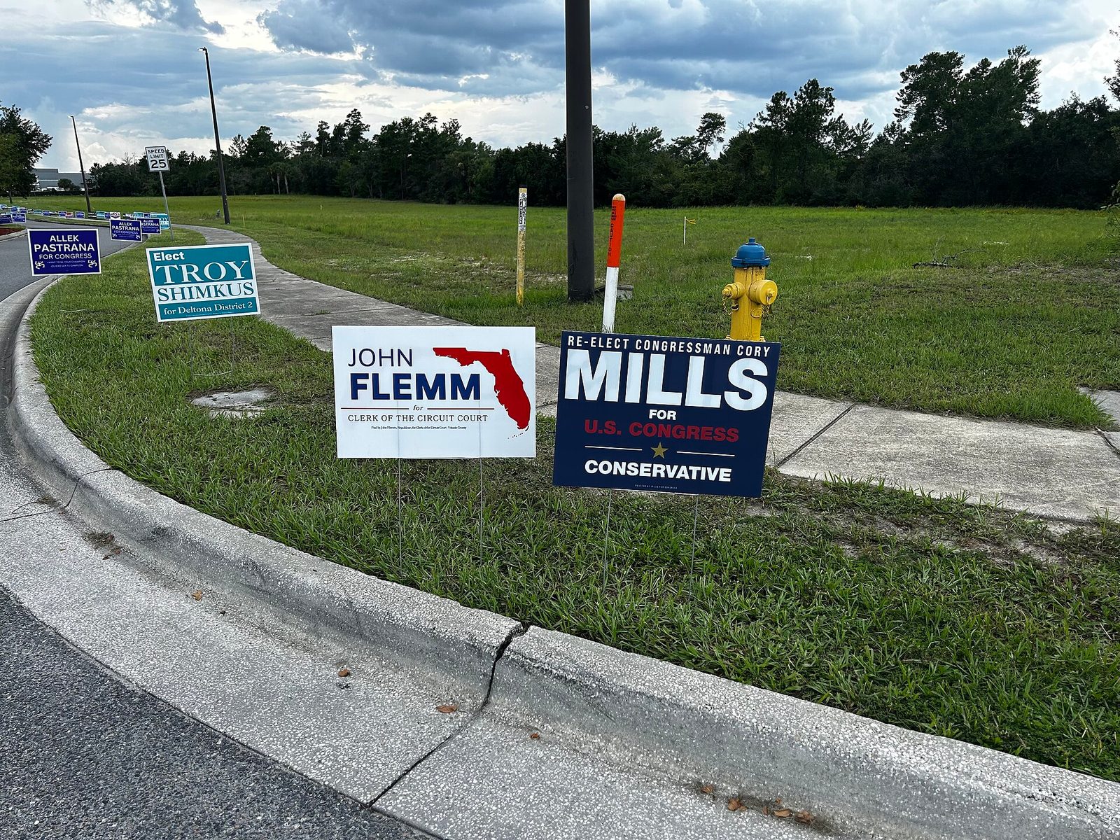 Row of roadside campaign signs along a curb and grassy verge