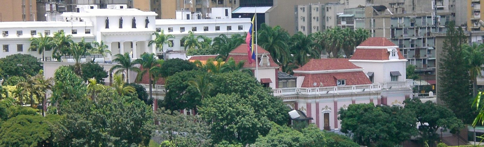 White palace building behind trees, Venezuelan flag flying on pole., Caracas