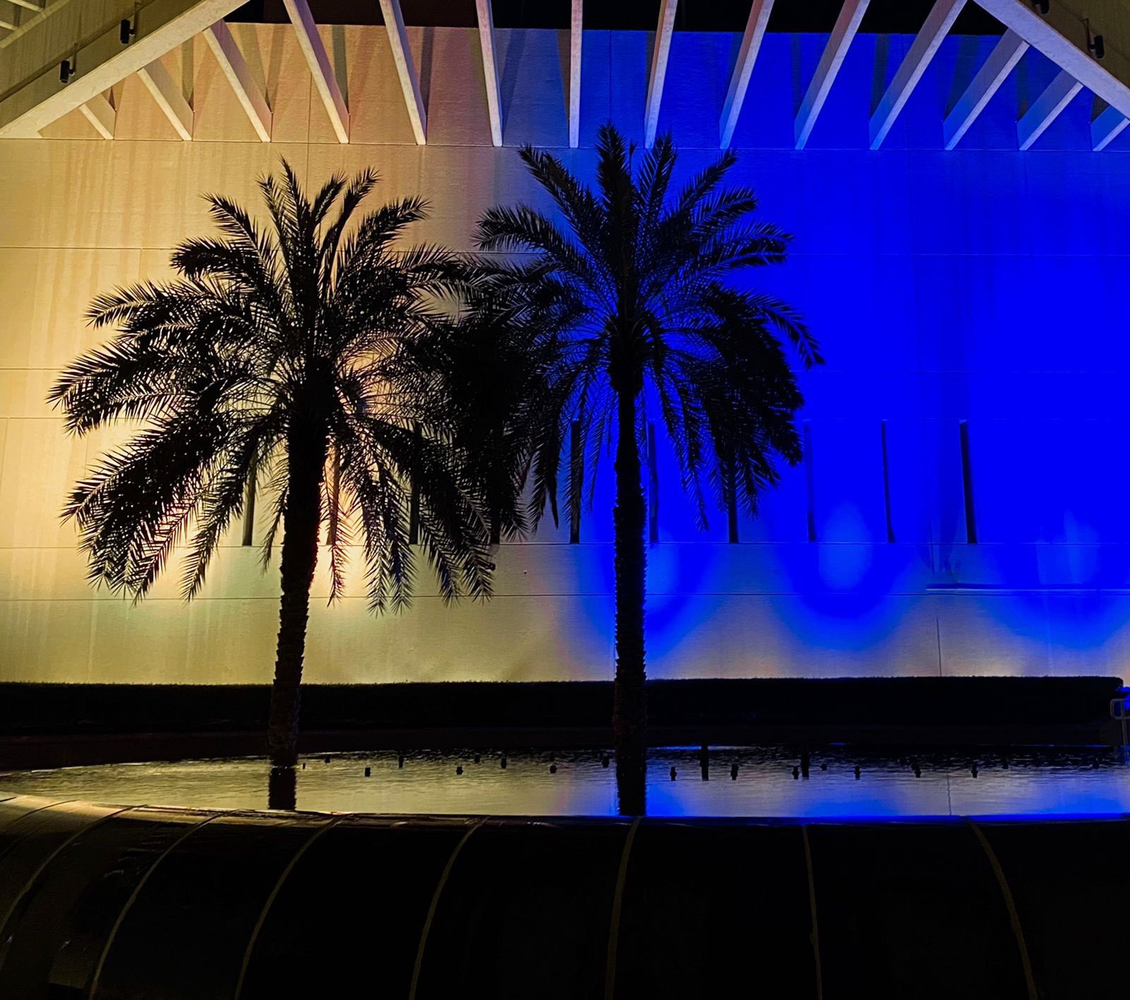 Palms silhouetted against blue-lit exterior of embassy building