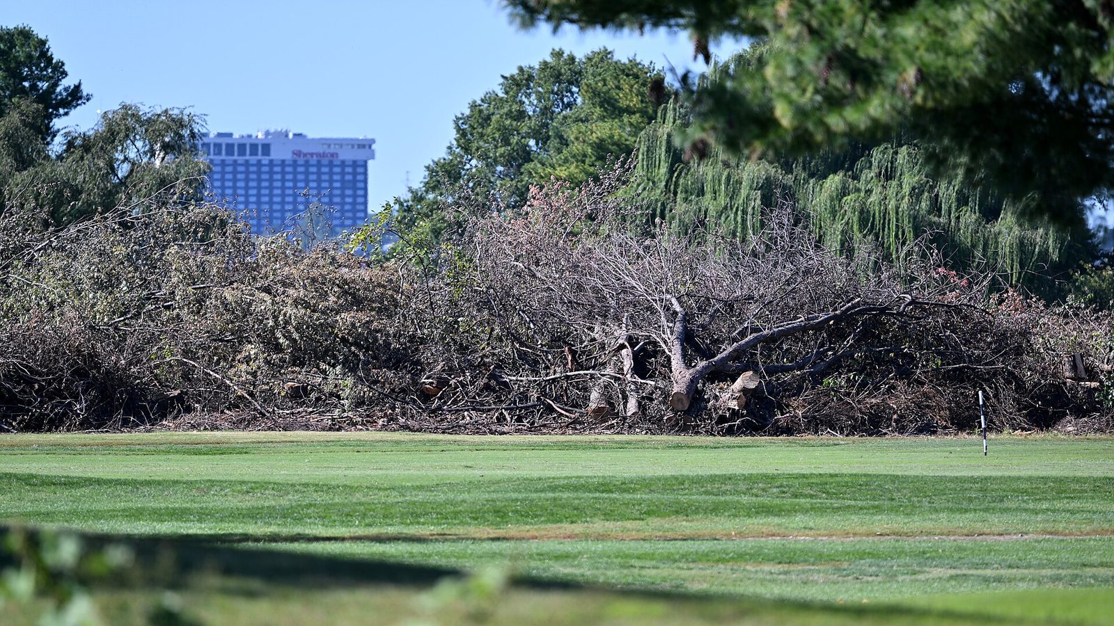Judge Halts Tree Removal at East Potomac Golf Course