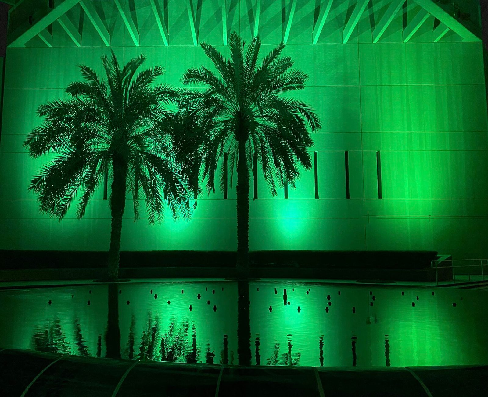Palm trees reflected in pool, embassy exterior lit green, Saudi Arabia