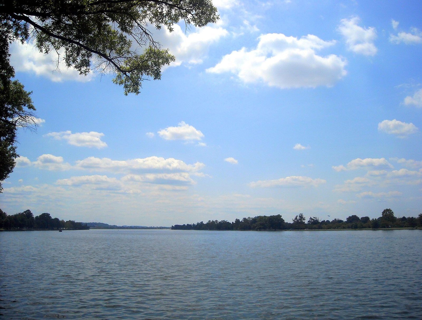 view across water to Hains Point shoreline, trees and sky, Hains Point